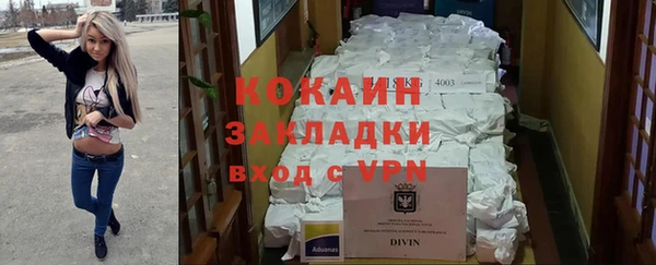 прущие грибы Надым