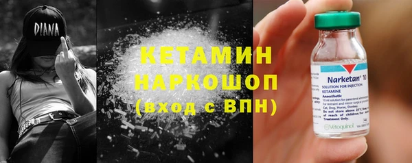 прущие грибы Надым