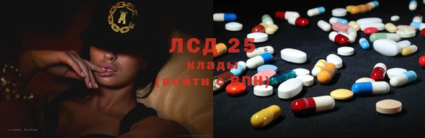 прущие грибы Надым