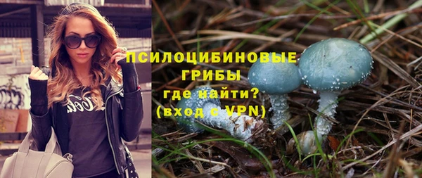 прущие грибы Надым