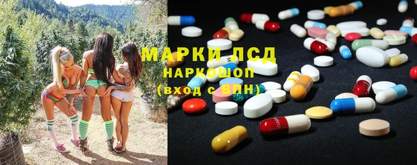 гашик Наволоки