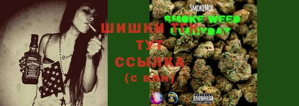 прущие грибы Надым